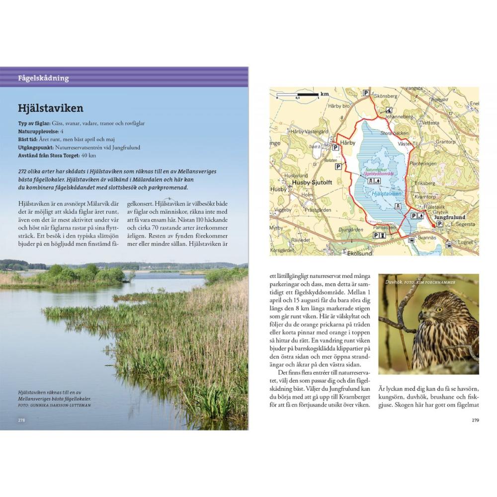 Calazo Friluftsliv kring Uppsala-Kajaksidan