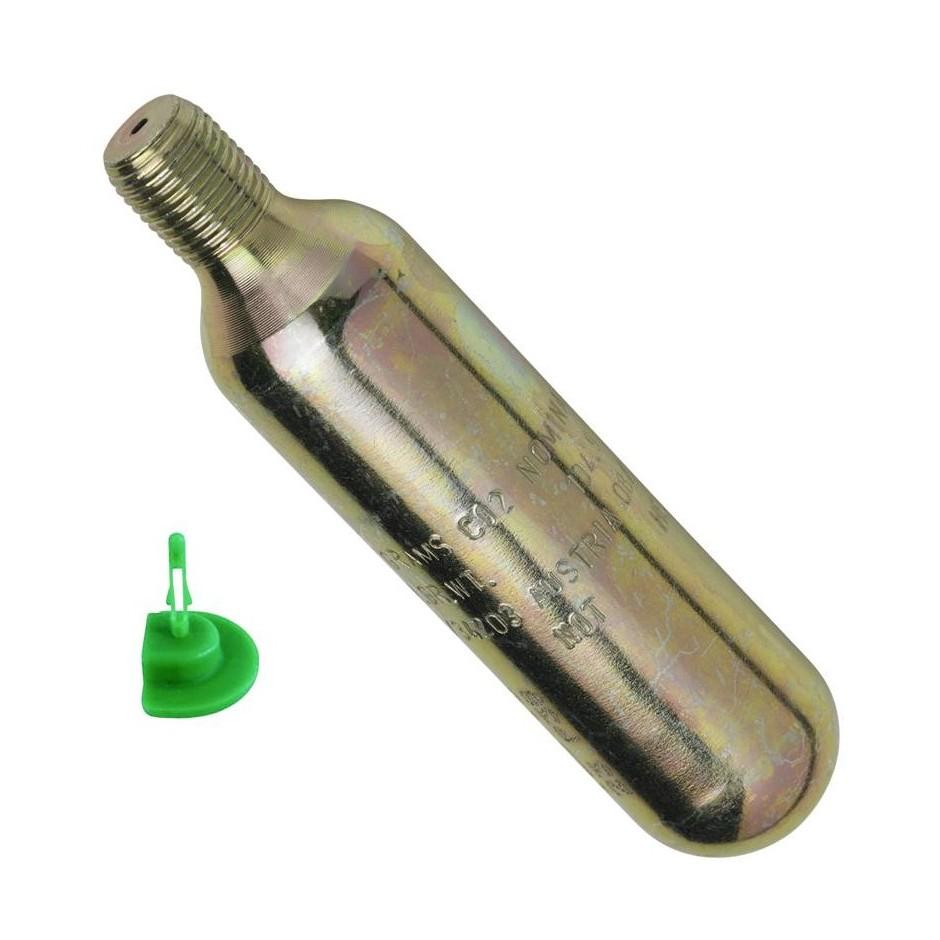 Palm Glide-Kajaksidan